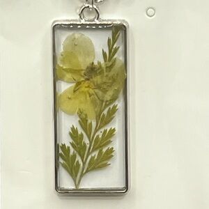 Pressed Flower Art in Silver Frame